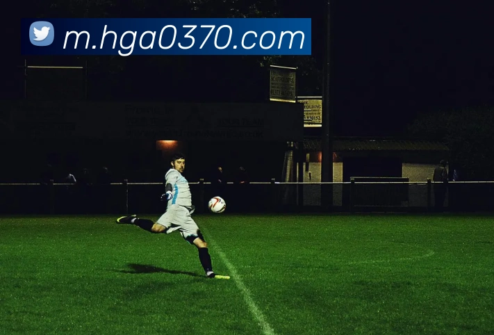 APP界面展示
